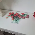 게스트하우스 Welcome House 3*